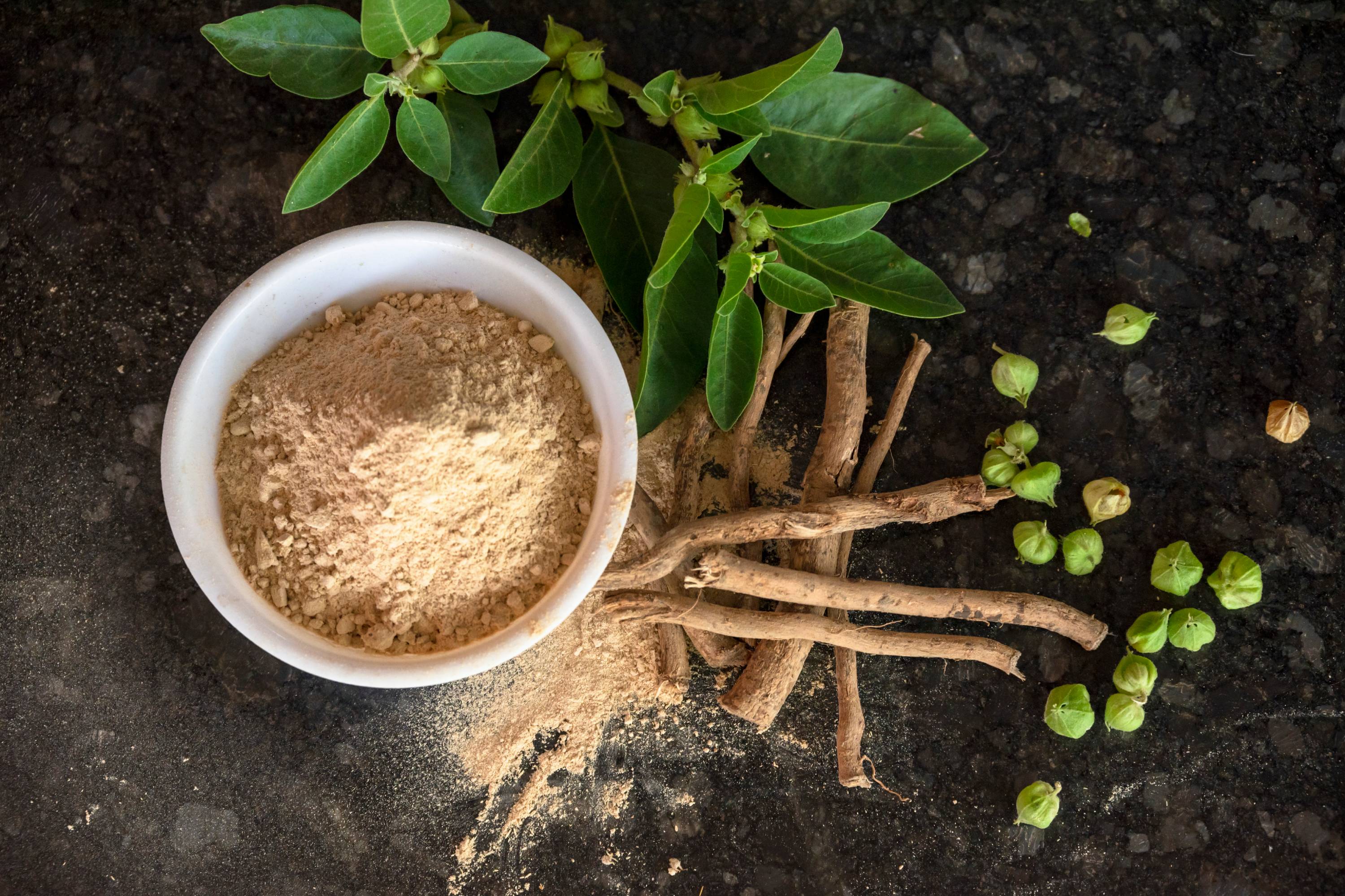 Das ayurvedische Ashwagandha in Wurzel und in Pulverform in einer weißen Schüssel