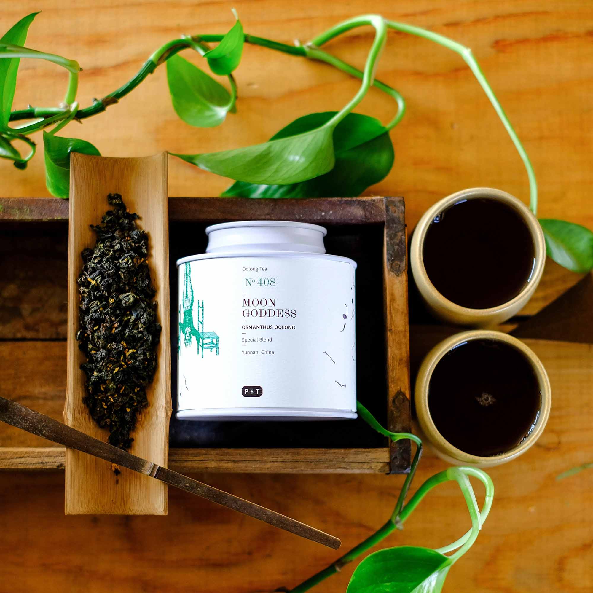 Weißer Teebehälter mit MOON GODDESS Osmanthus Oolong Tee, Bambusschaufel, lose Blätter, zwei Tassen.