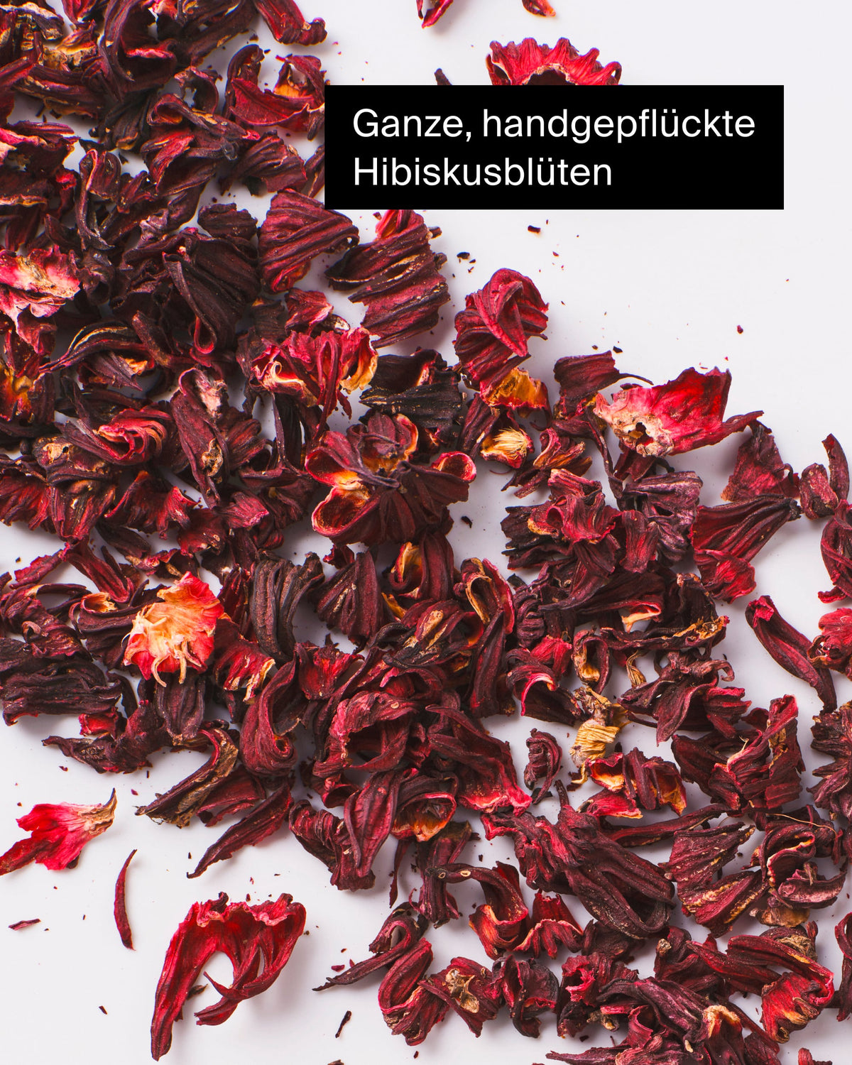 Handgepflückte Hibiskusblüten in leuchtendem Rot auf hellem Untergrund
