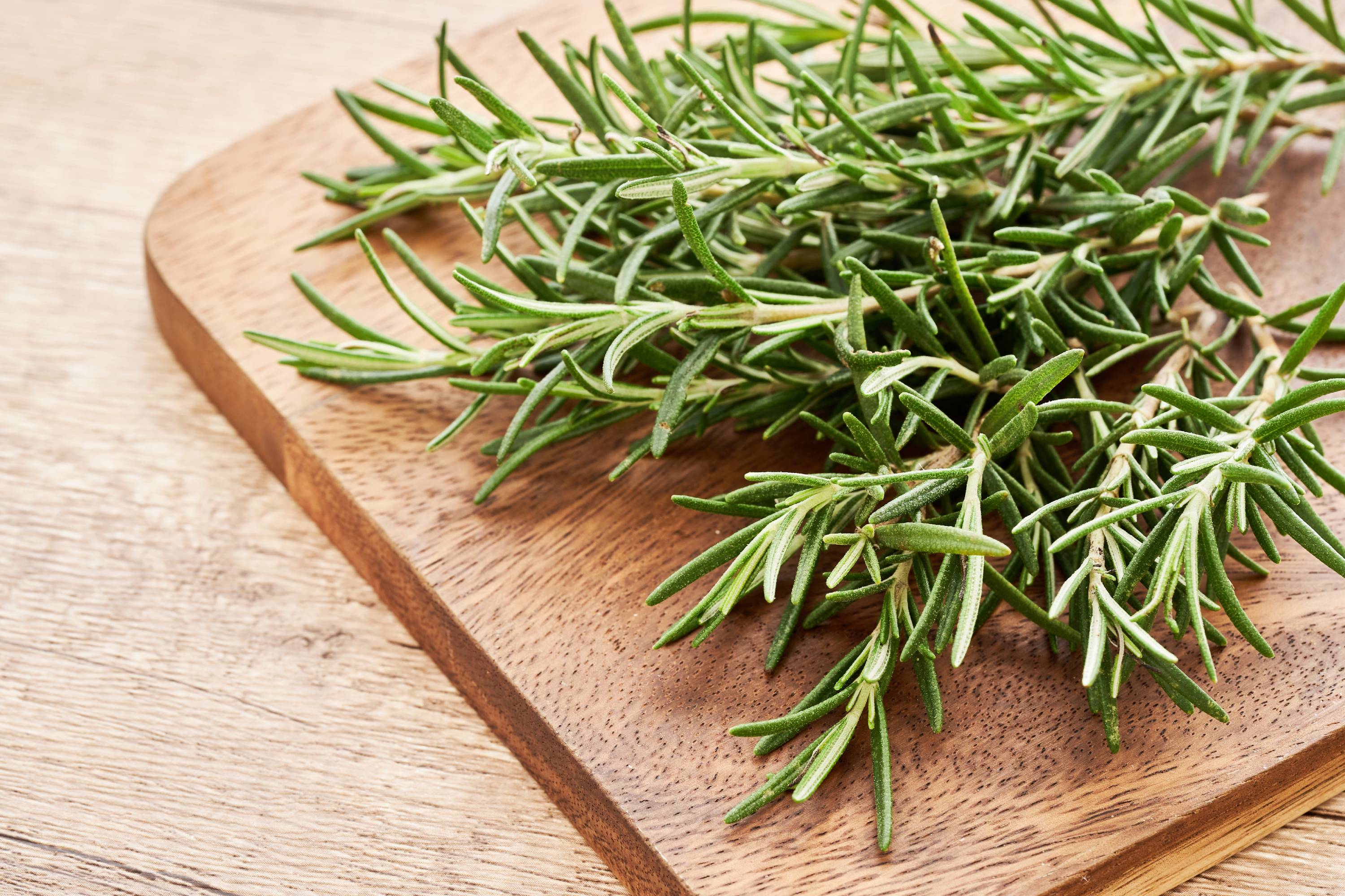 Frische Rosmarinzweige auf kleinem Holzbrett