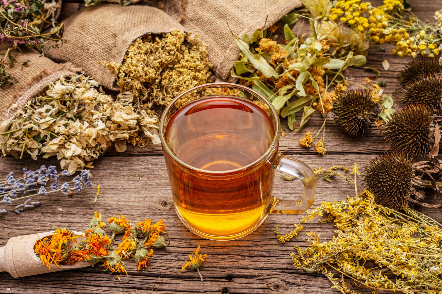 Glastasse mit Kräutertee auf Holztisch, umgeben von getrockneten Kräutern
