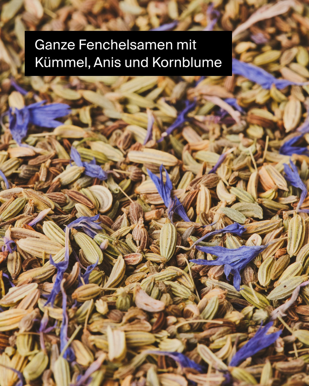Nahaufnahme von Fenchelsamen, Kümmel, Anis und blauen Kornblumenblüten.