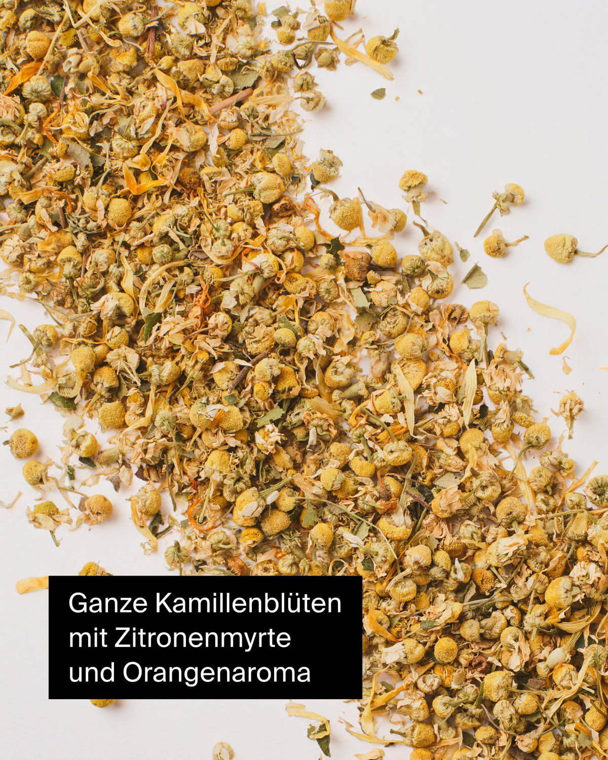 Getrocknete Kamillenblüten mit Zitronenmyrte und Orangenaroma auf weißem Hintergrund verteilt