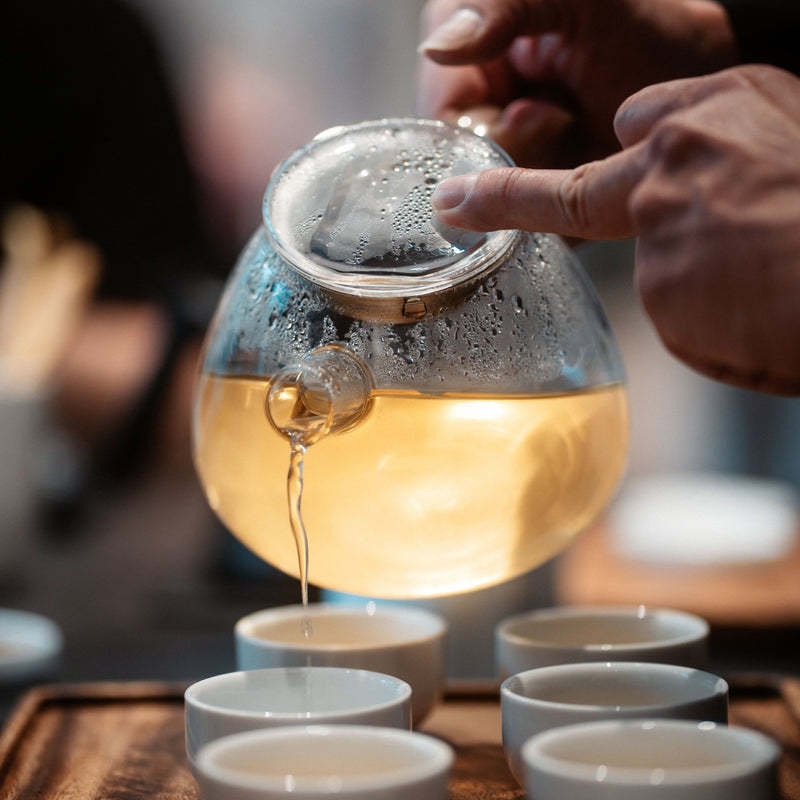 Tea Tasting in Hannover